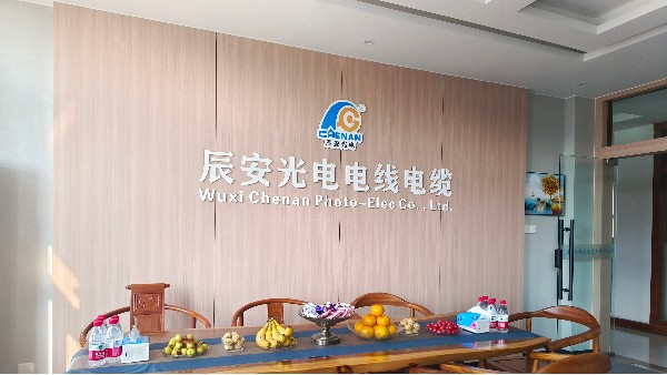 携手共创辉煌：辰安光电喜迎公牛集团客户来访